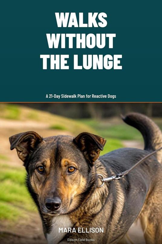 Walks Without the Lunge