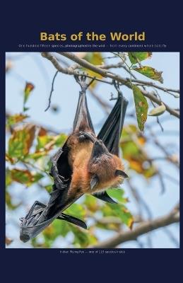 Bats of the World - Donald Cooper - cover
