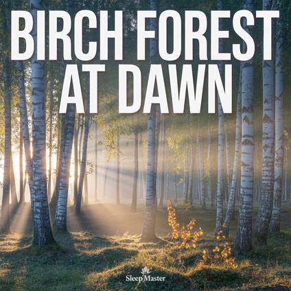 Birch Forest at Dawn