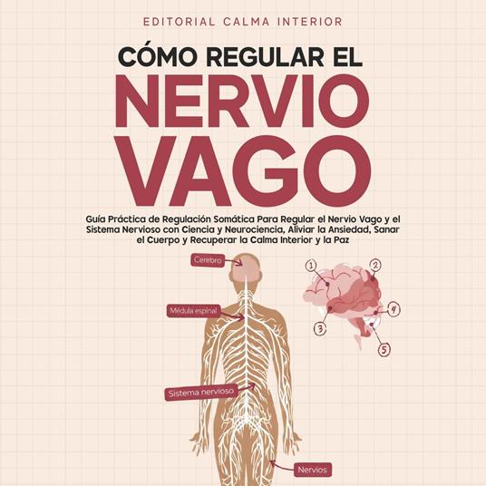 Cómo Regular el Nervio Vago