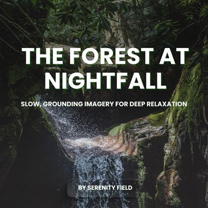 Forest at Nightfall, The