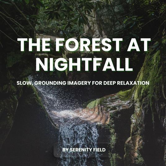 Forest at Nightfall, The