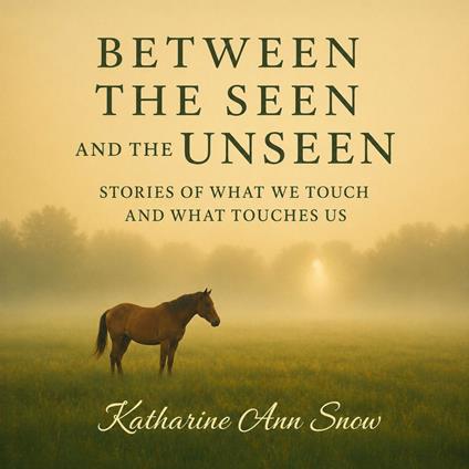 Between the Seen and the Unseen