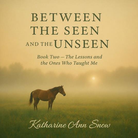 Between the Seen and the Unseen
