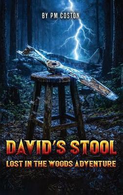 David's Stool - Pm Coston - cover