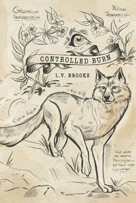 Controlled Burn - L V Brooks - cover