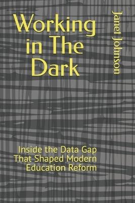 Working in The Dark: Inside the Data Gap That Shaped Modern Education Reform - Janet Johnson - cover