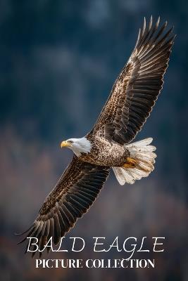 Bald Eagle Photo Collection: Beautiful Full-Page Pictures of Bald Eagles and Eaglets for All Ages (Simple Photo Books). - Ymi Collection - cover