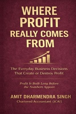 Where Profit Really Comes From: The Everyday Business Decisions That Create or Destroy Profit - Amit Dharmendra Singh - cover