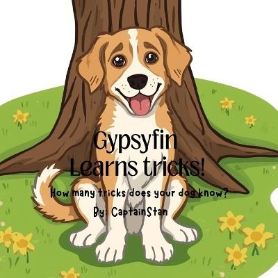 Gypsyfin Learns Tricks - Stan Allen - cover