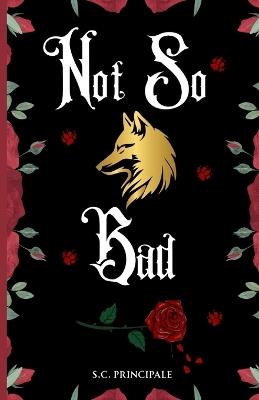 Not So Bad - S C Principale - cover