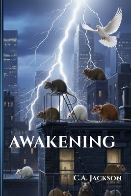 Awakening - C A Jackson - cover