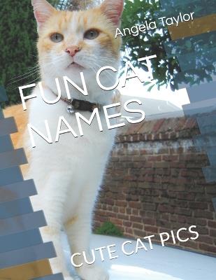 Fun Cat Names: Cute Cat Pics - Angela Taylor - cover