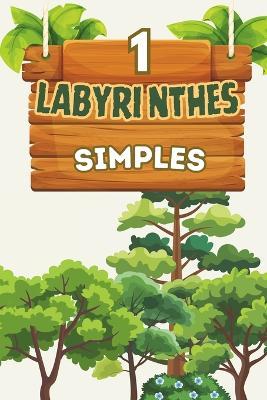 Labyrinthes Simples pour Enfants de 4 à 8 Ans - Niveau 1: 50 labyrinthes progressifs avec solutions Activité ludique idéale pour les vacances, les cadeaux, le camping et les moments de loisirs - Ag Meso - cover