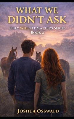 What We Didnt Ask: Only When It Matters Series Book 2 - Joshua Osswald - cover