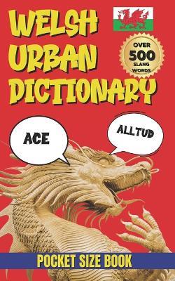 Welsh Urban Dictionary: Modern Slang, Street Talk, and Everyday Welsh Explained - Slang Fun - cover