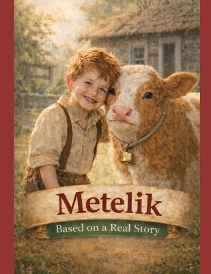 Metelik - Kate Lyashchenko - cover