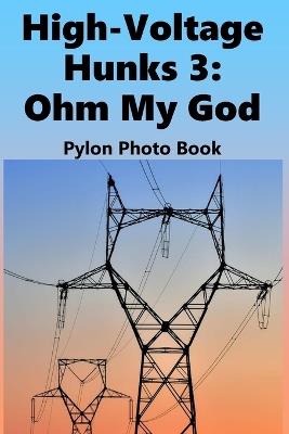 High-Voltage Hunks 3: Ohm My God: Electricity Pylon Photo Book - Davies - cover