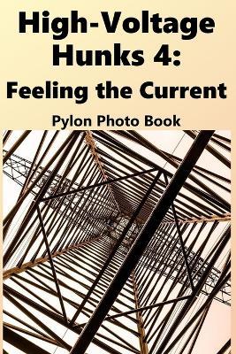 High-Voltage Hunks 4: Feeling the Current: Electricity Pylon Photo Book - Davies - cover