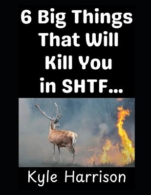 6 Big Things That Will Kill You In SHTF...: ...That You Didn't Think About - Kyle Harrison - cover