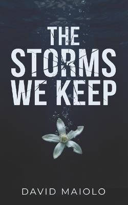 The Storms We Keep: A Gripping Story of Love, Betrayal, and Redemption - David Maiolo - cover