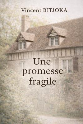 Une promesse fragile - Vincent Bitjoka - cover