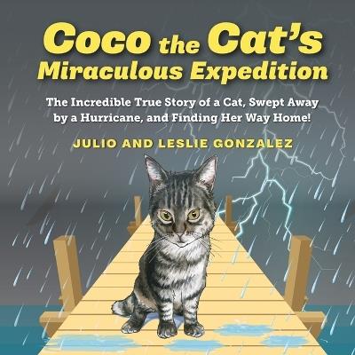 Coco the Cat's Miraculous Expedition - Julio Gonzalez - cover