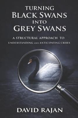 Turning Black Swans Into Grey Swans: A Structural Approach to Understanding and Anticipating Crises - David Rajan - cover