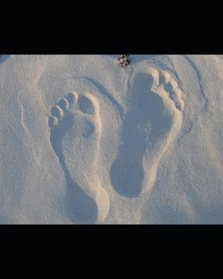 Foot First Legacy: A Guide for Accountability, Masculinity, and Legacy Building - Bree D D Davis,L G Davis - cover