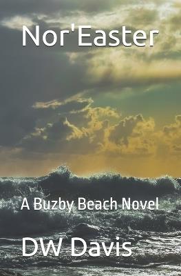 Nor'Easter: A Novel of Loss, Redemption, and Second Chances - Dw Davis - cover