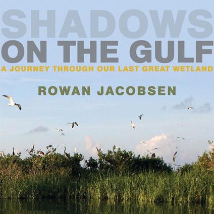 Shadows on the Gulf