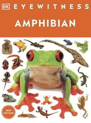 Amphibian - DK - cover