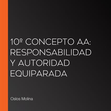 10º Concepto AA: Responsabilidad y Autoridad Equiparada