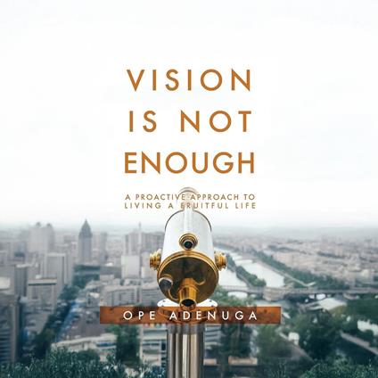 Vision Is Not Enough