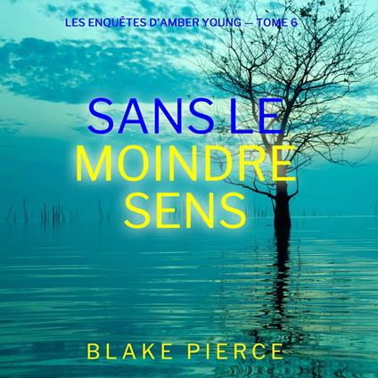 Sans le moindre sens (Les Enquêtes d'Amber Young — tome 6)