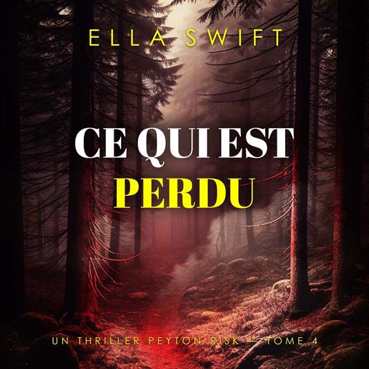 Ce qui est perdu (Un thriller Peyton Risk — tome 4)