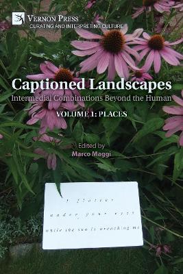 Captioned Landscapes: Intermedial Combinations Beyond the Human: Volume 1: Places - Marco Maggi,Yolaine Escande,Silvia Lavanco Livreri - cover