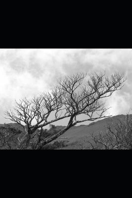 Letters Never Sent - Robert Dean - cover