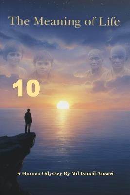 The Meaning Of Life - Ismail Ansari - cover