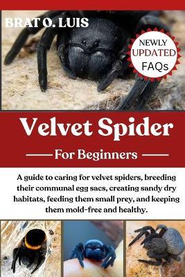 Velvet Spider: A guide to caring for velvet spiders, breeding their communal egg sacs, creating sandy dry habitats, feeding them small prey, and keeping them mold-free and healthy. - Brat O Luis - cover