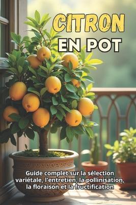 Citron en pot: Un guide complet sur la sélection des variétés, l'entretien, la pollinisation, la floraison et la fructification - Svitana - cover