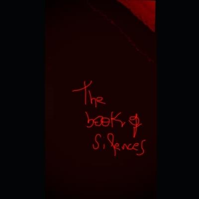 The book of silences - Ny Prado Dos Anjos,Silvia Prado Dos Anjos - cover