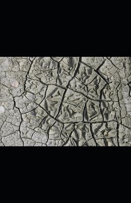 The Dividend Drought - Tony Hicks - cover