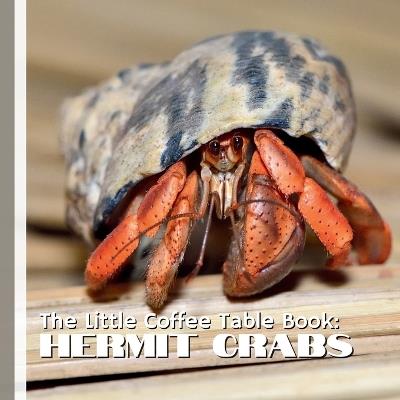 The Little Coffee Table Book: Hermit Crabs: 75 captivating facts that explore the world of hermit crabs-from their shell-swapping adventures and clever survival instincts to their surprisingly social behavior and vital role in the ecosystem. - Mehco Design - cover