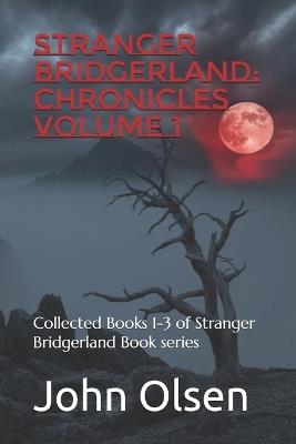 Stranger Bridgerland: Chronicles Volume 1: Collected Books 1-3 of Stranger Bridgerland Book series True Paranormal Stories from the Western United States - John Olsen - cover