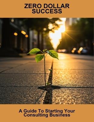 Zero Dollar Success: A Guide To Starting Your Consulting Business - Franco Leyva - cover