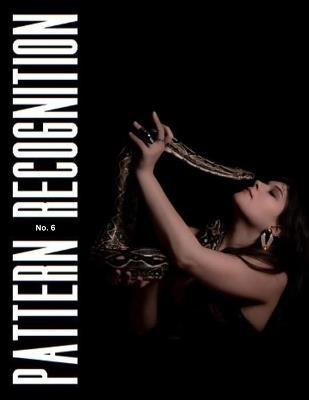 Pattern Recognition No. 6 - David Larsen,Kristy Neilsen,Megan Trihey - cover