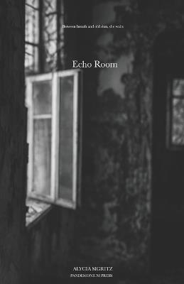 Echo Room - Alycia Sigritz - cover