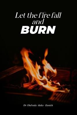 Let the Fire Fall and Burn - Olufunke Aluko-Daniels - cover