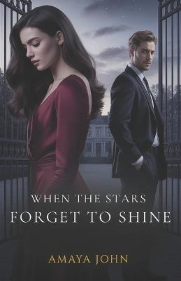 When The Stars Forget To Shine - Amaya John - cover